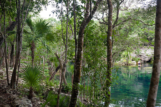 istock Cenote with pure water, Mexico 464736064