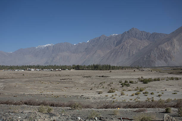 nubra valley en ladakh - prudish fotografías e imágenes de stock