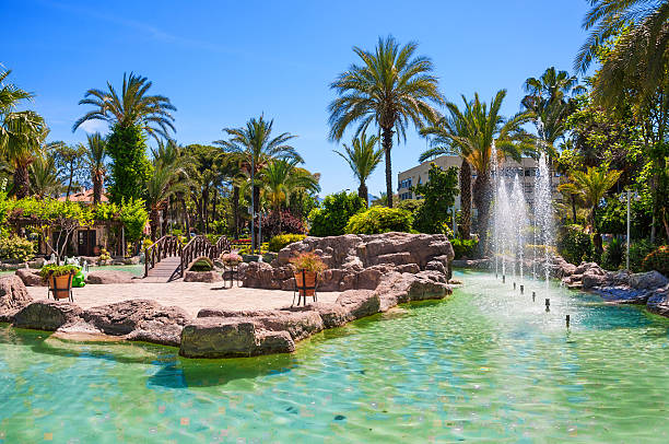 istock Park with a pond and palm trees by the sea 464741906