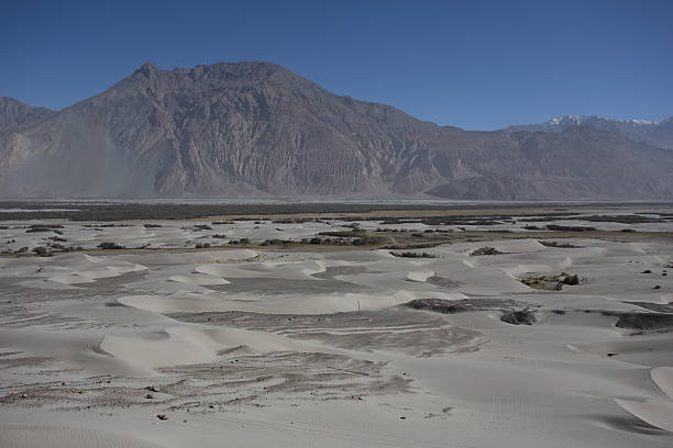 nubra valley em ladakh - prudish - fotografias e filmes do acervo