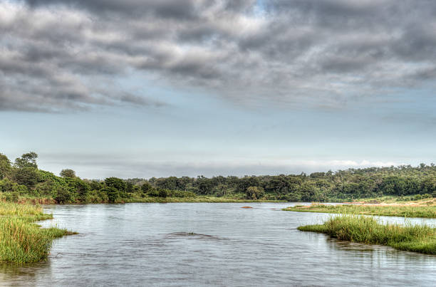 istock Crocodile River Kruger National Park 464750605