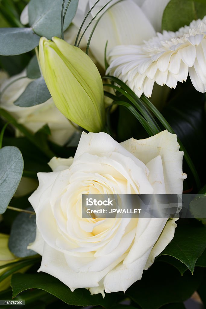 Bouquet Ramo De Rosas Blancas Hermosas Flores De Lirio Daisy Foto de stock  y más banco de imágenes de 2015 - iStock