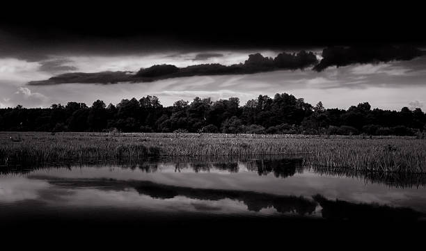 istock Black and White Landscape with Dark Clouds 464757212