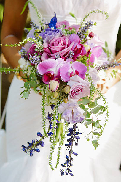 różowy, purpurowy i niebieski bukiet ślubny - orchid flower single flower green zdjęcia i obrazy z banku zdjęć