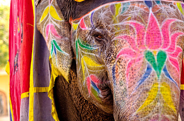 istock colorful painted Elephant in India 464773038