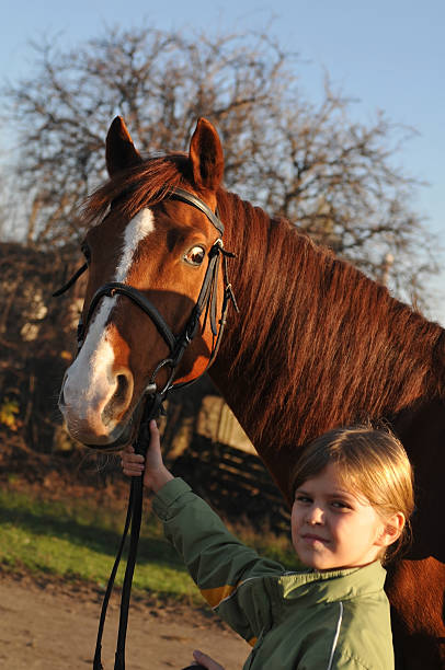istock Surprised horse with girl 464777921