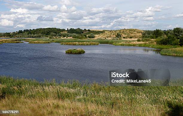 Middleton Hall Rspb Reserva Foto de stock y más banco de imágenes de Aire libre - Aire libre, Cama, Carrizo - Hierba