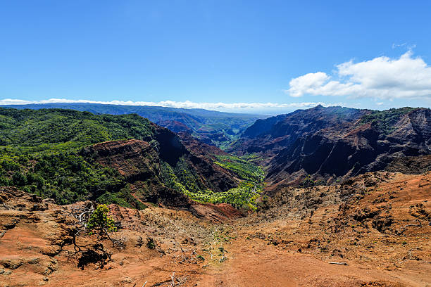 istock Puu Hinahina, Kauai Hawaii 464790329