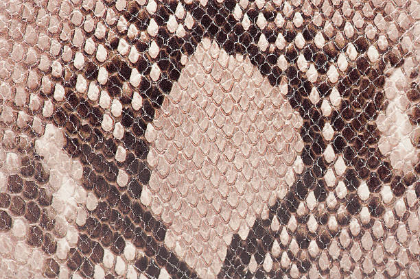 istock Macro of snake leather 464790739