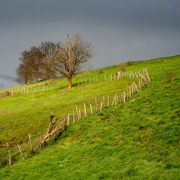 istock Rural setting in Cantabria. Spain. Europe. 464792766