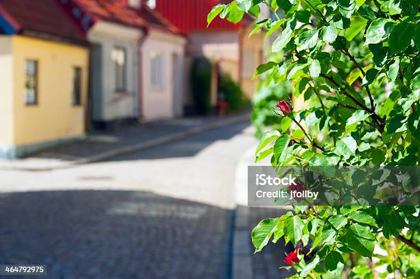 Summer Street Stock Photo - Download Image Now - Alley, Architecture, European Culture