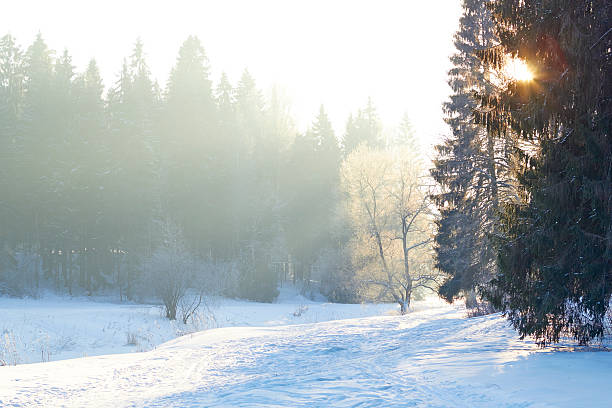 istock sunrays over fog on river in winter forest 464793066