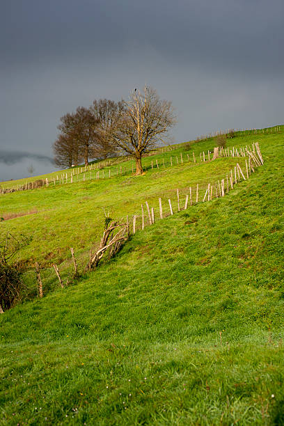 istock Rural setting in Cantabria. Spain. Europe. 464797208