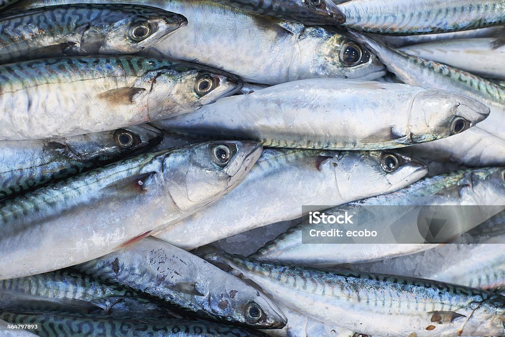 Fresh mackerel fish for sale on market Fresh mediterranean mackerel  fish for sale on market of Marseille, France Marseille Stock Photo