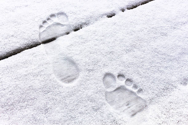 отслеживает в снегу - snow track human foot steps стоковые фото и изображения