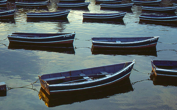 istock rowboats on Central Park Lake,NYC 464807066