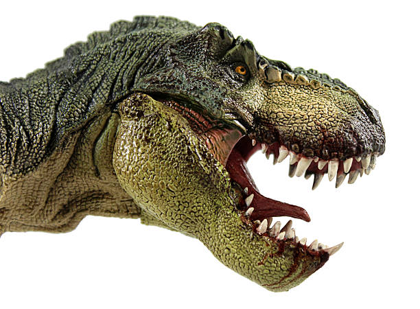 A T-Rex profile photo with jaw agape Side profile photo of a Tyrannosaurus Rex with some blood still around its mouth. dinosaur stock pictures, royalty-free photos & images