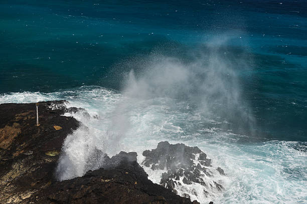 istock Halona Blow Hole Beach on Oahu, Hawaii 464811949