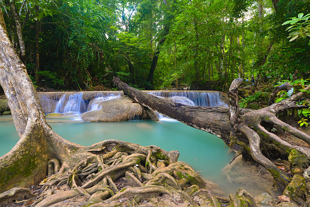 エラワン滝、カーンチャナブリー県 - waterfall erawan tropical rainforest tree ストックフォトと画像