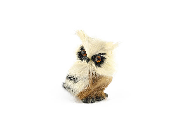 Little toy owl