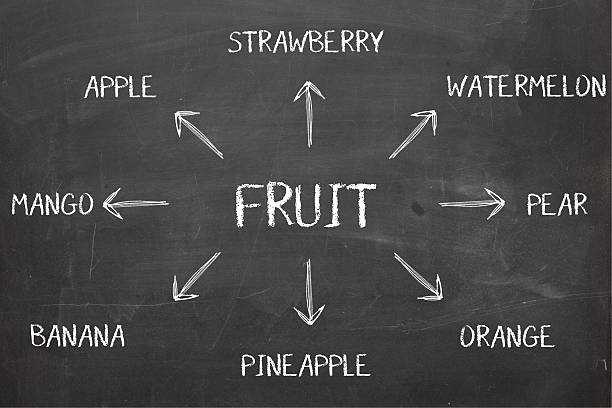 Fruit Diagram On Blackboard stock photo