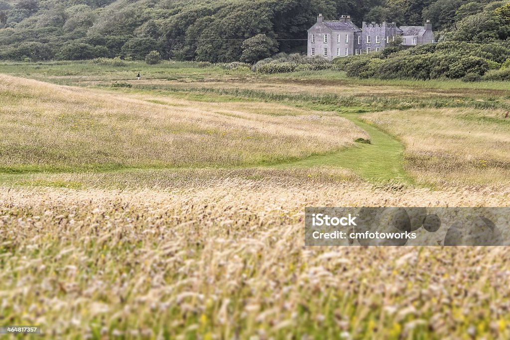 Meadows a Derrynane House - Foto stock royalty-free di Palazzo signorile