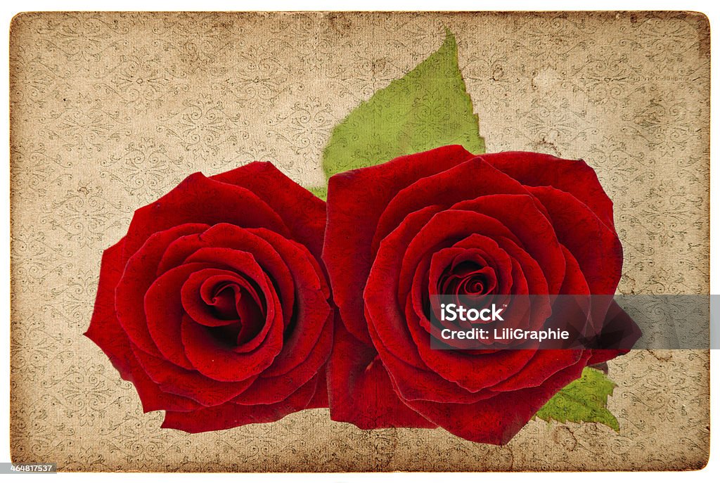 vintage card board with red roses vintage grunge paper card board with red roses Antique Stock Photo