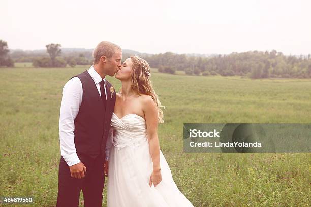 Newlyweds Kissing In Meadow Stock Photo - Download Image Now - 20-29 Years, 2015, Adult