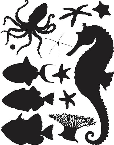 섀도스 sea/실루엣 드 라 메르 - octopus tentacle tentacle sucker animal stock illustrations