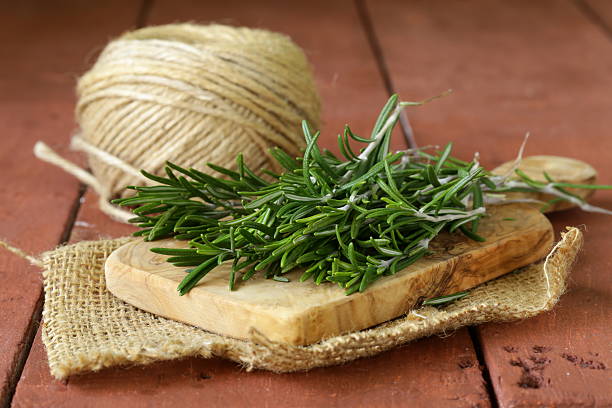 fresco verde alecrim sobre uma tábua de corte de madeira - tarragon close up herb bunch imagens e fotografias de stock