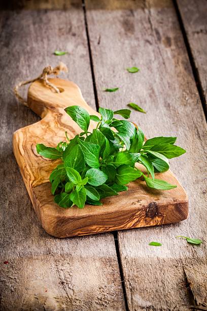 istock bunch of fresh organic basil in olive cutting board 464823278