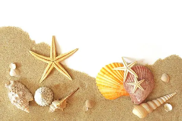 beach sand, shells and seastar border on white