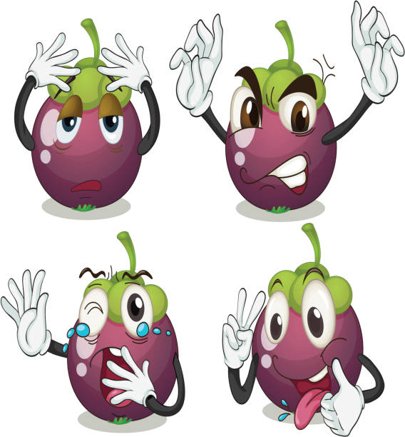 Mangosteen fruits Mangosteen fruits on a white background sour face stock illustrations