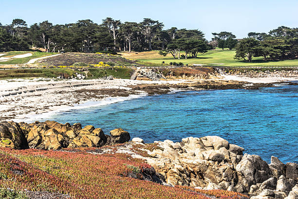 istock The sand beach in Monterey, California 464829580