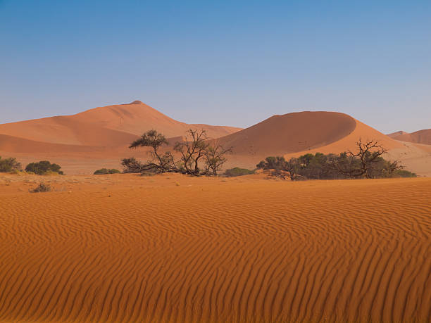 istock Red dune of Namid desert 464829741