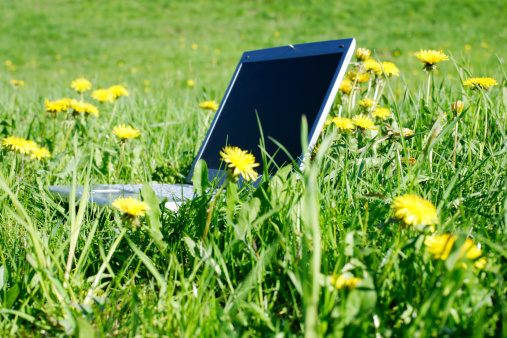 laptop in a spring field