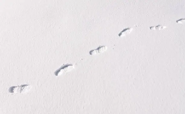 footstep trails winter snow at sunny day