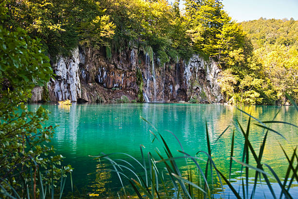 lago de plitvice - plitvice lakes national park water lake national park - fotografias e filmes do acervo