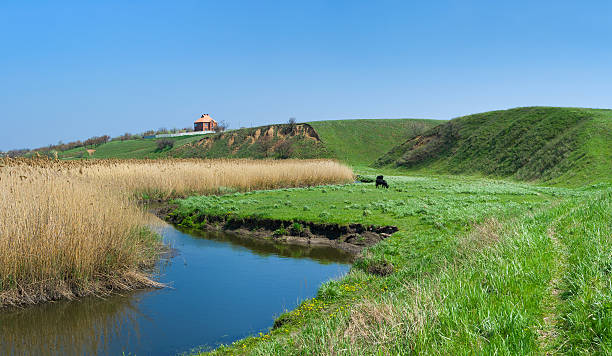 wiejski krajobraz z małego ukraiński river sura - lag zdjęcia i obrazy z banku zdjęć