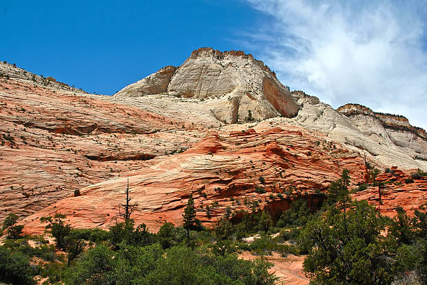 istock Rock formations - Zion National Park 464832768