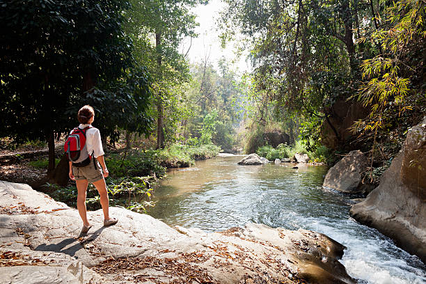 istock Hiking woman with backpack trekking in rainforest 464832912