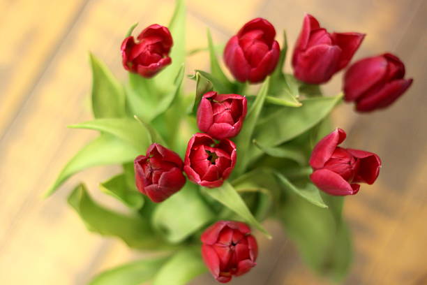 Bouquet of red tulips