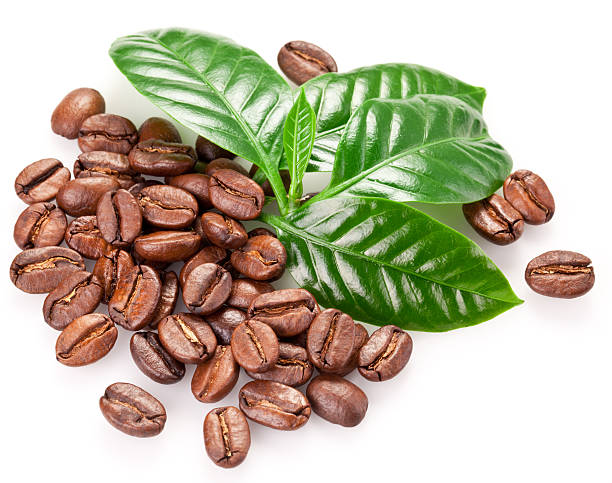 Roasted coffee beans and leaves.