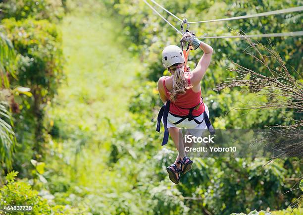 Woman Going On A Jungle Zipline Adventure Stock Photo - Download Image Now - Zip Line, Costa Rica, Hawaii Islands