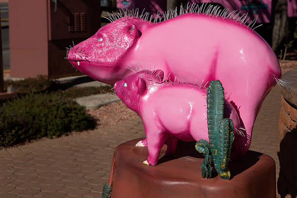 Javelina Mom and baby A pink statue of a Mom Javelina and her baby with a cactus  in downtown Sedona Arizona peccary stock pictures, royalty-free photos & images