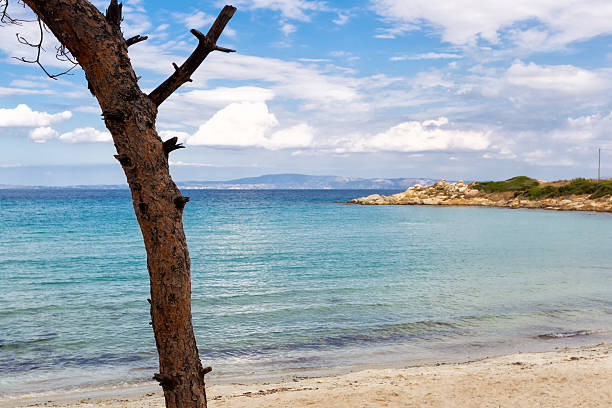 istock Vourvourou beach in Halkidiki, Greece 464838869