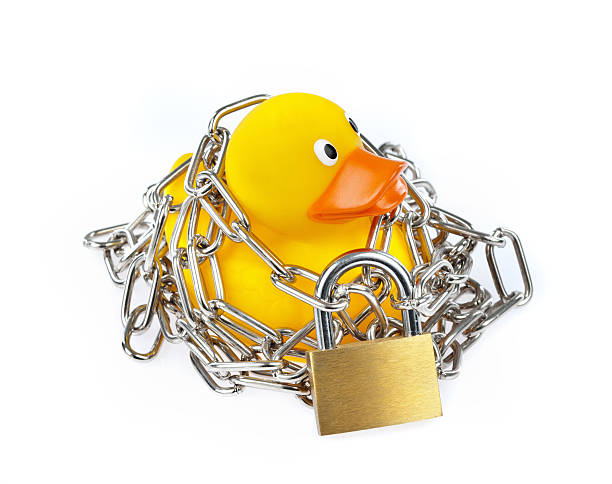 istock Yellow Rubber Duck with chain and padlock 464840107