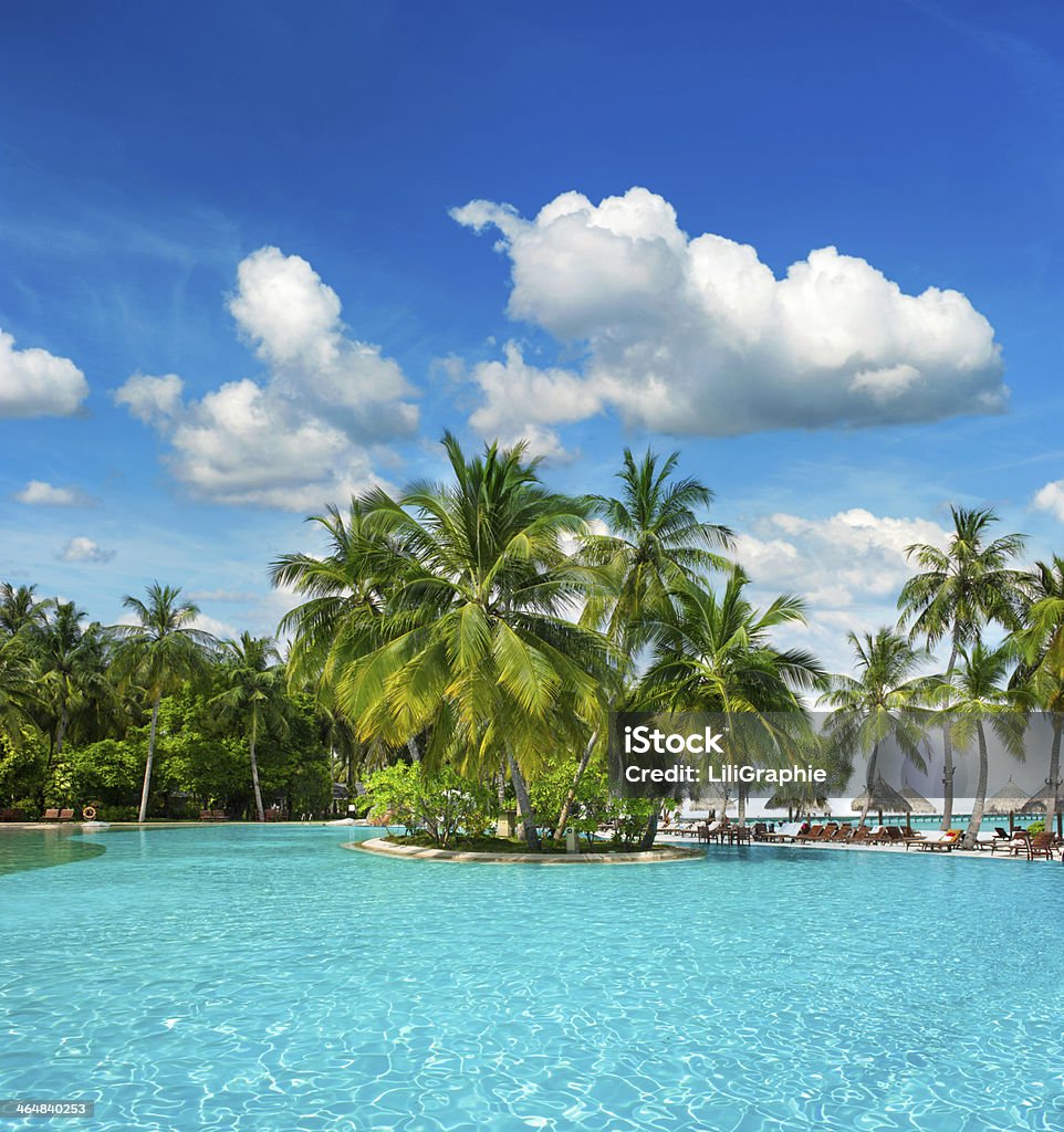 swimming pool with palm trees and blue sky swimming pool surrounded by lush tropical plants and palm trees over blue cloudy sky Beach Stock Photo