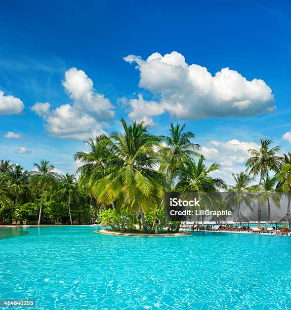 Swimming Pool With Palm Trees And Blue Sky Stock Photo - Download Image Now - Beach, Blue, Caribbean Sea