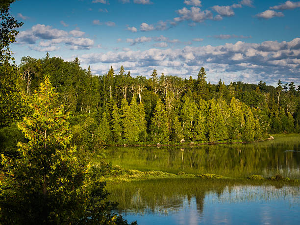 Tranquil fishing spot on a northern lake near Timmin, Ontario, Canada